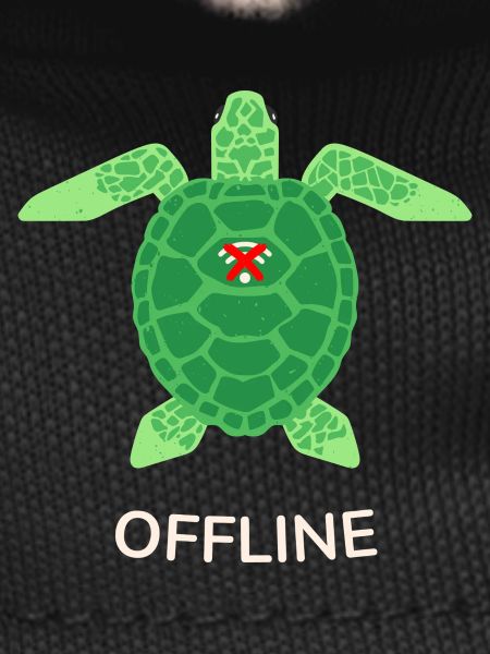 Offline Mode Turtle