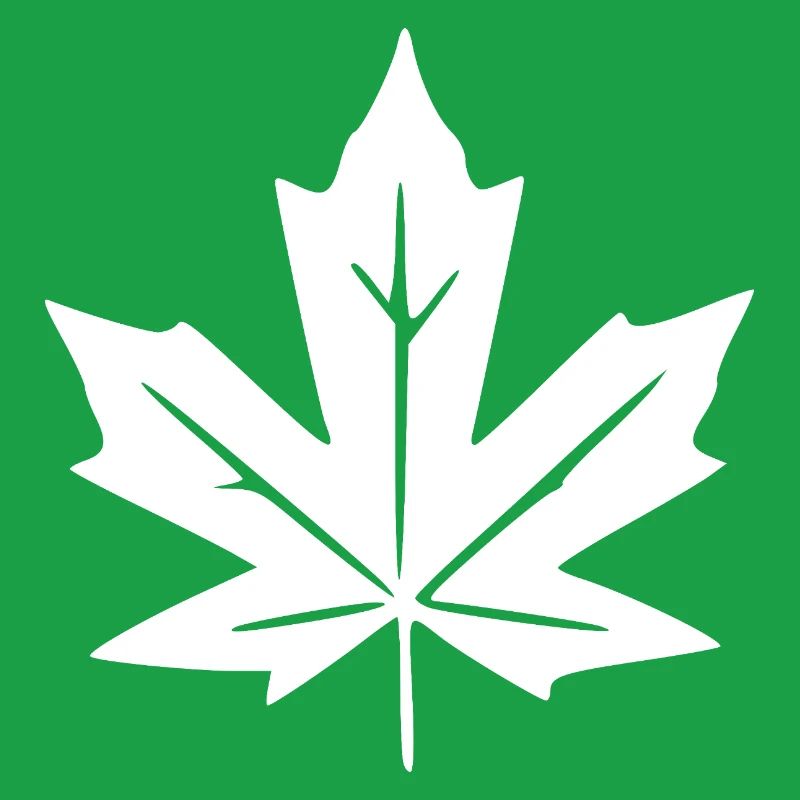 Feuilles d’érable Cadeau Amoureuse de la Nature