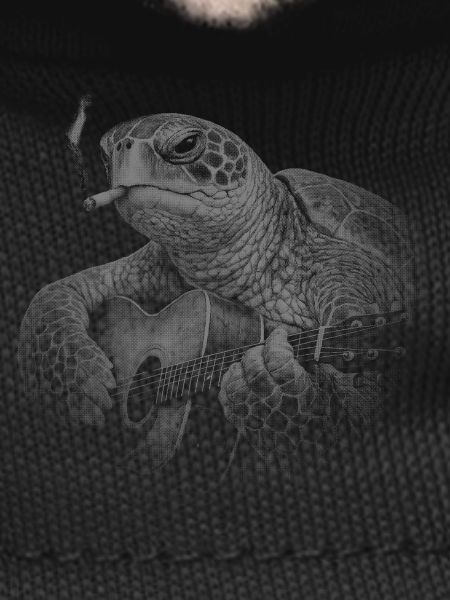 Turtle Night Guitar
