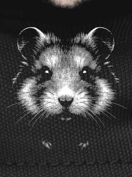Common hamster