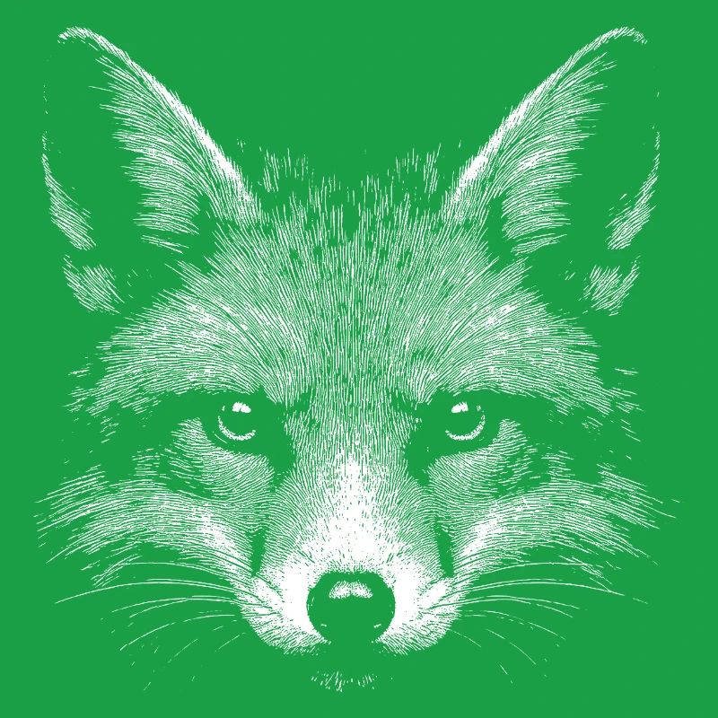 Red fox