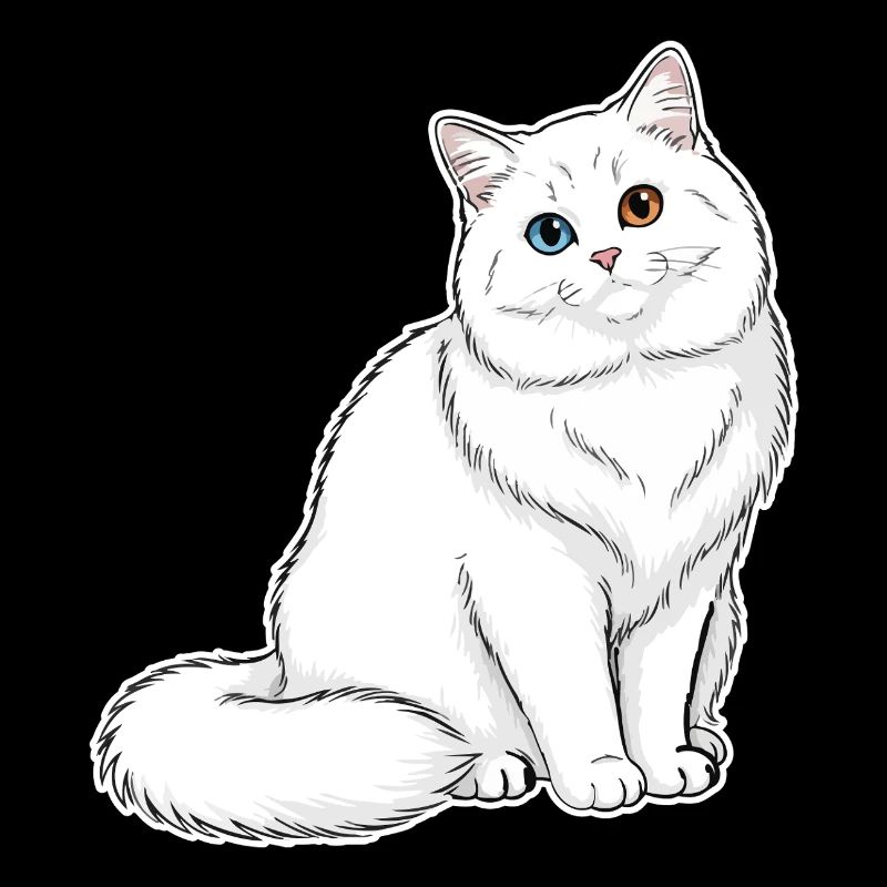 Chat Blanc Angora Yeux Vairons Portrait Élégant