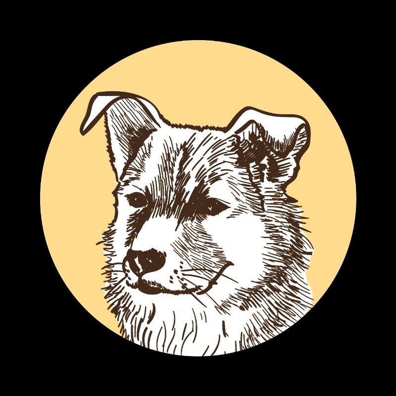 Chien