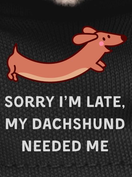 Dachshund Delay