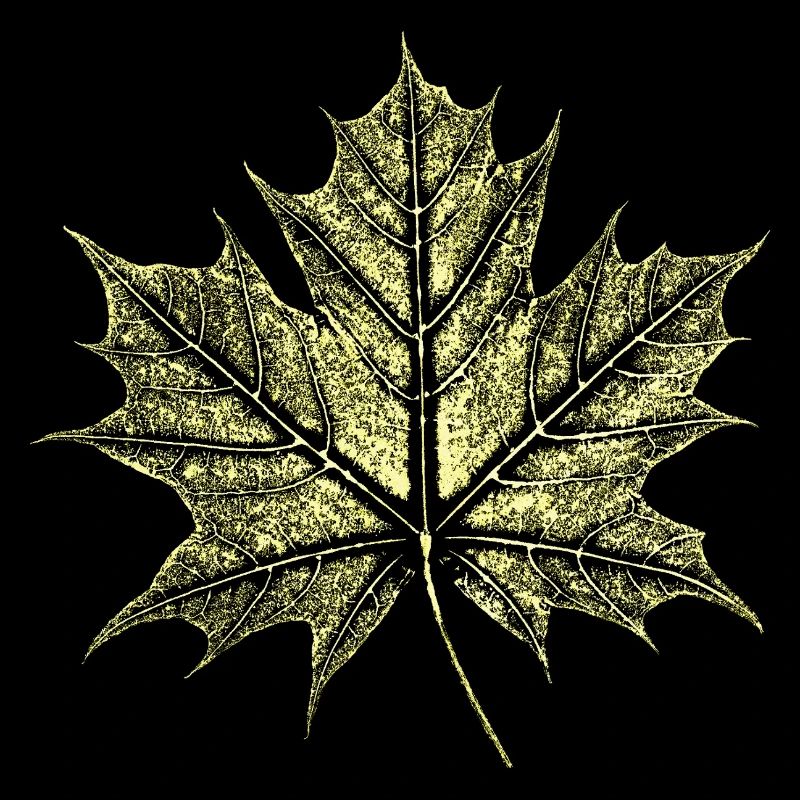 Maple Leaf / Botany - Natural