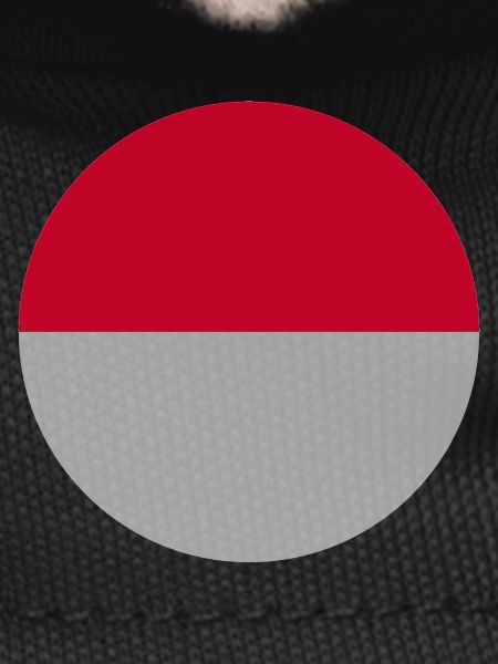 Indonesian flag