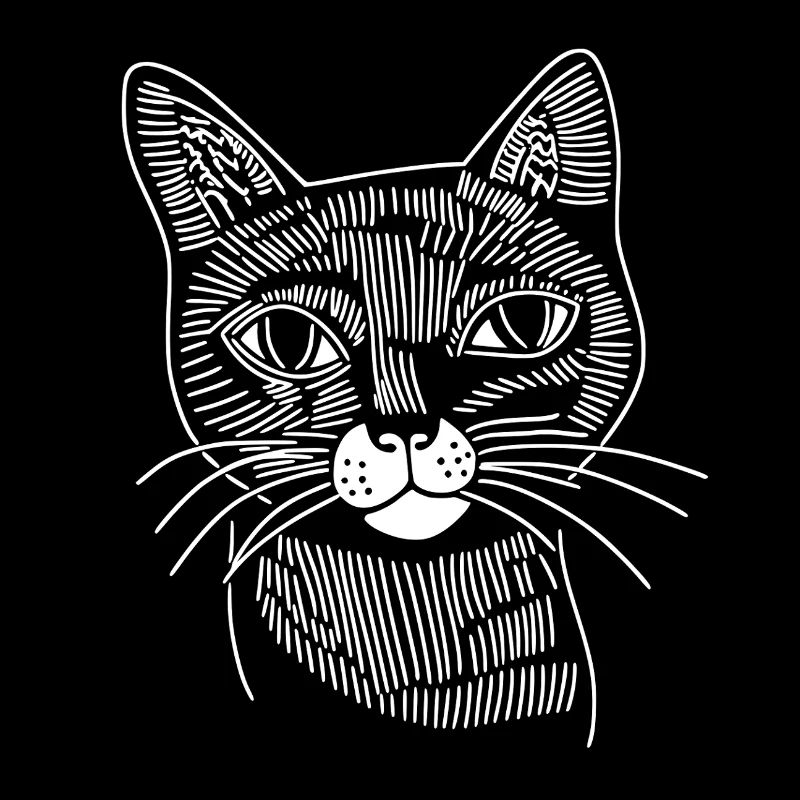 Katze 