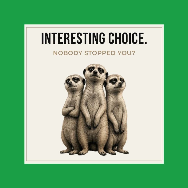 Trio de suricates à choix intéressant