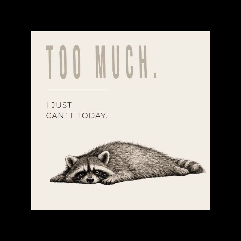 Not Today Raccoon Meme