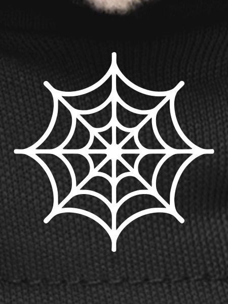 Spider Web Spider