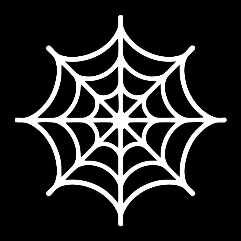 Spider Web Spider