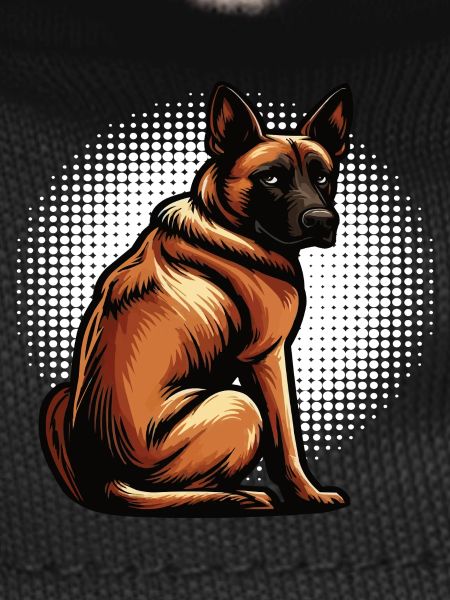 Malinois Belgian Shepherd Malinois Owner