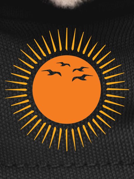 Sun and birds