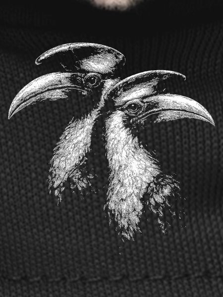Hornbills