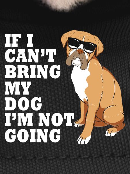Boxer Dog