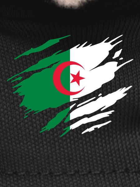 Algerian Flag of Algeria