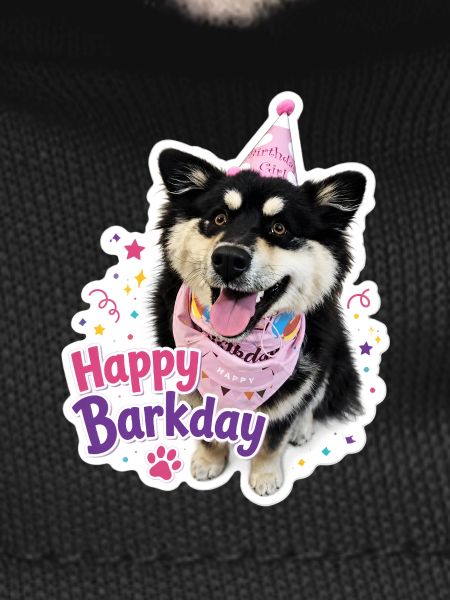 Happy Barkday Finnish Lapphund