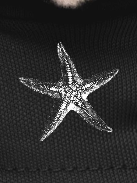 Starfish Silhouette Saltwater Sketch