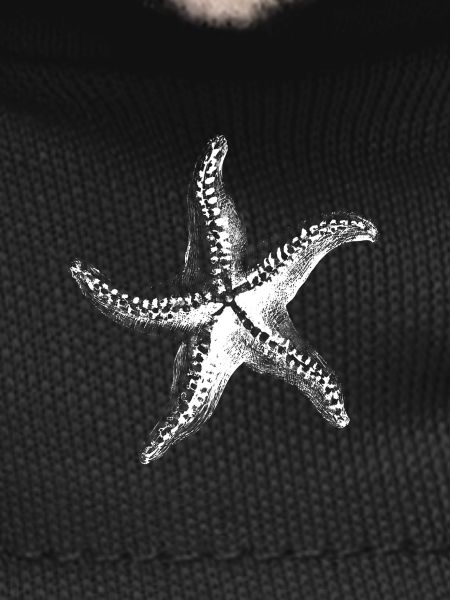 White Starfish Silhouette