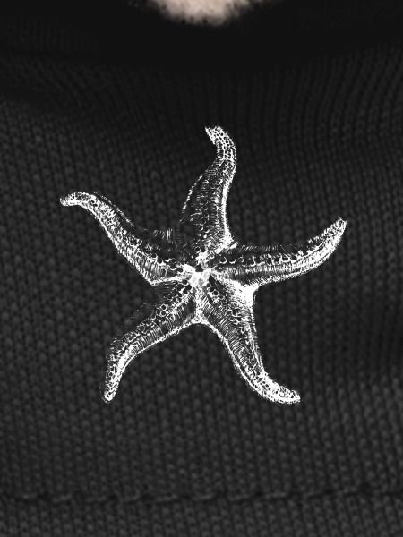 Sea Star Silhouette
