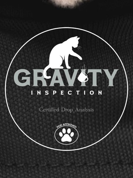 Gravity Inspection Logo