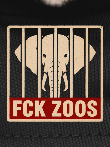 FCK Zoos Elefant