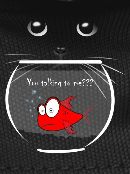 goldfish