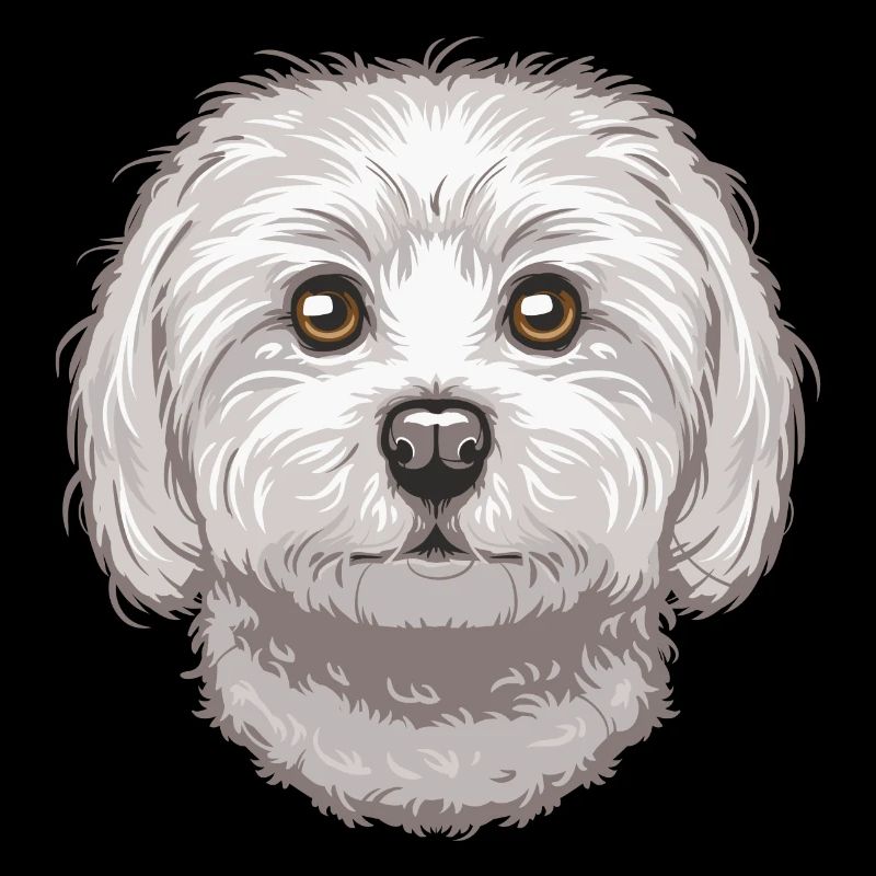 Maltese