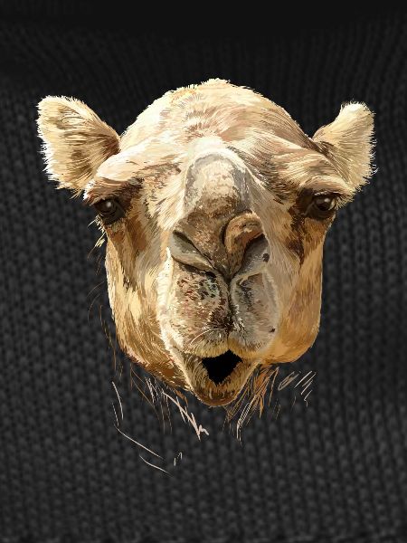 Camel