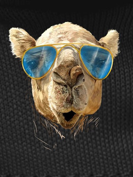 Camel with sunglasses