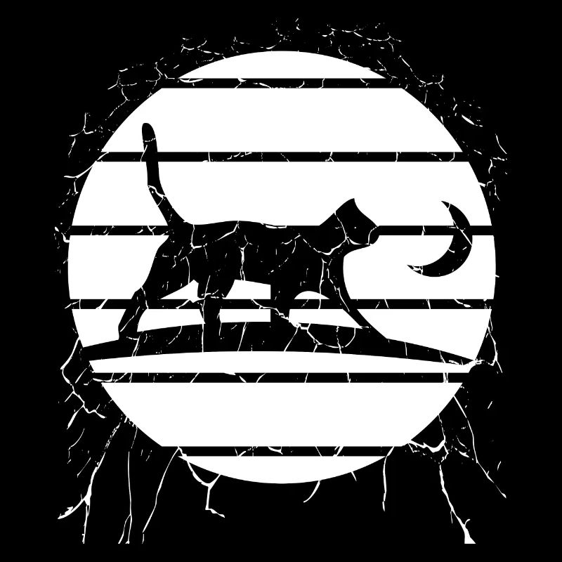Chat au clair de lune – Promenade nocturne