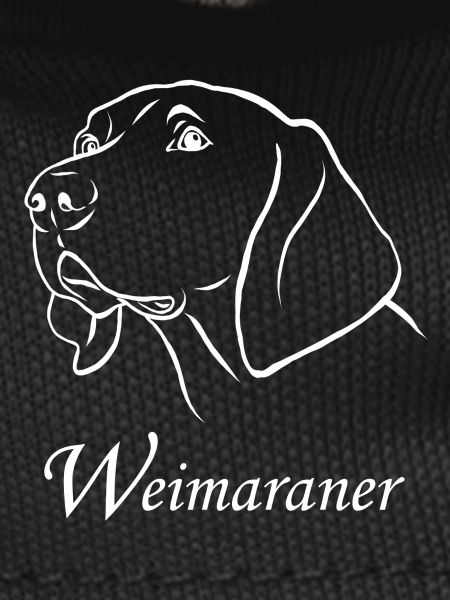 Weimaraner portrait