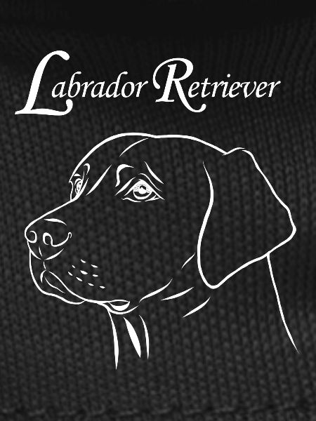 Labrador Retriever Portrait