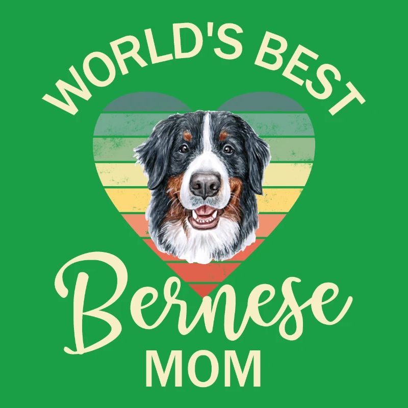 Bouvier bernois