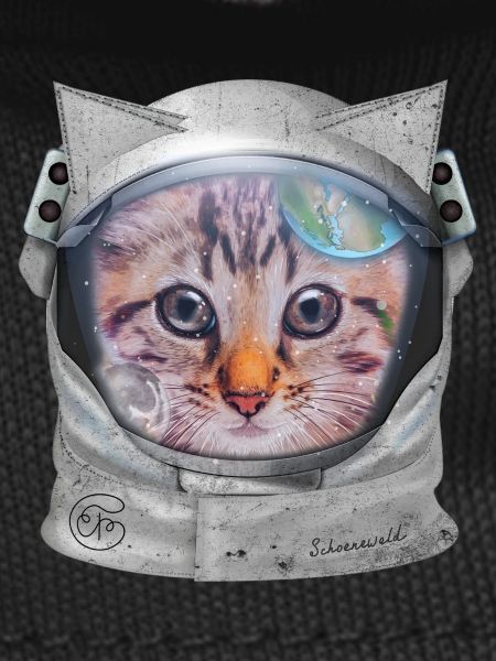Cat in space