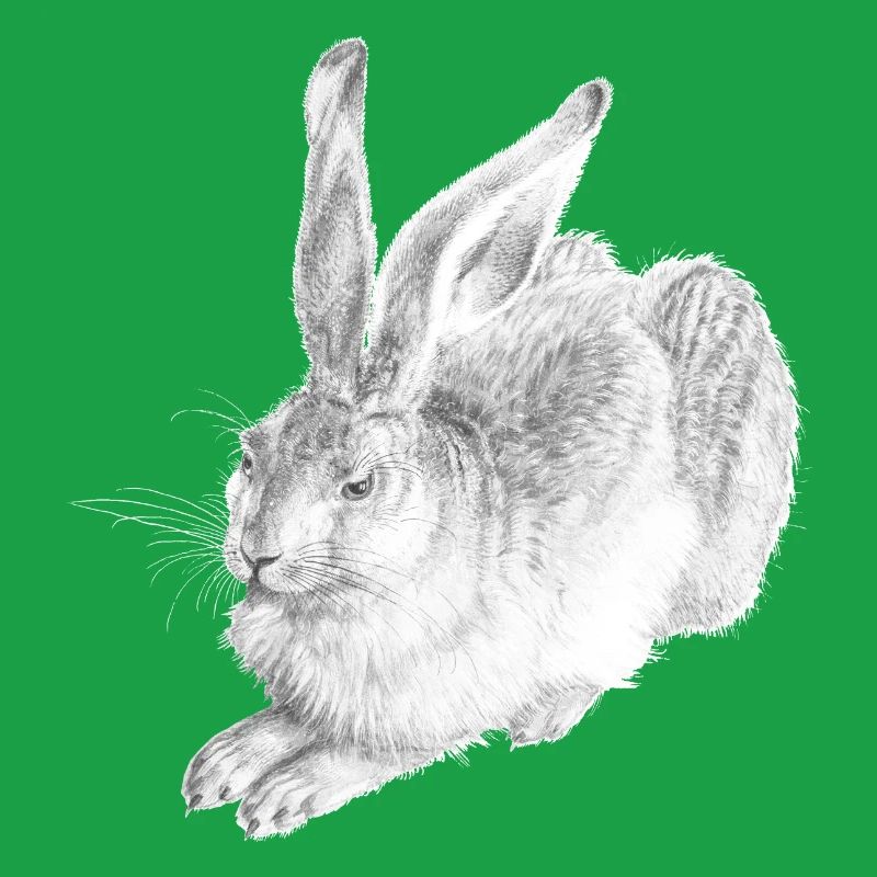 WHITE RABBIT | Snow Hare after Albrecht Dürer