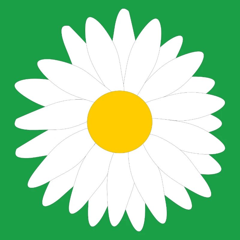 Blume weiß weiße Blumen Geschenk Muttertag Mutter
