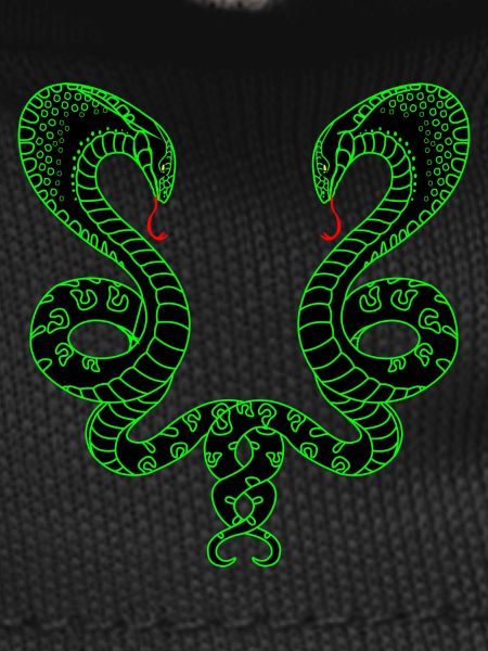 Deux serpents verts
