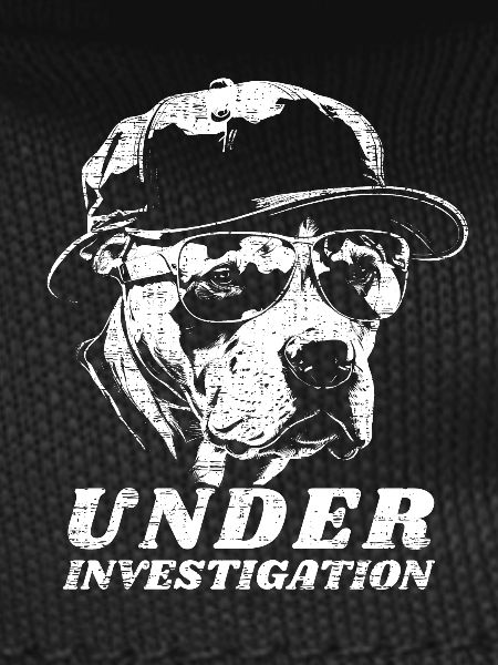 Pitbull - Under Investigation
