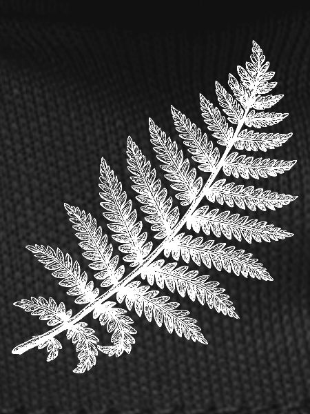 Fern leaf in white silhouette