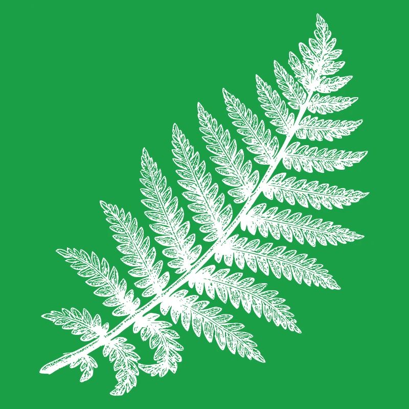 Fern leaf in white silhouette