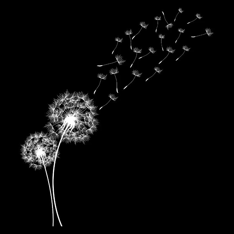 Dandelion Dandelion Flowers in Flight