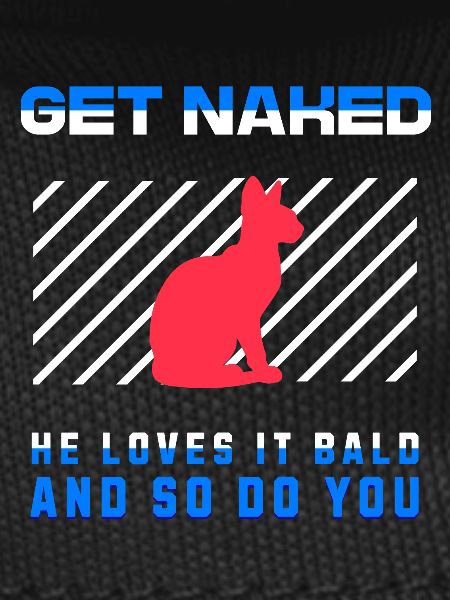 Get Naked Sphynx Cat 