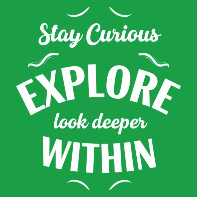 Explore Interior Stay Curious