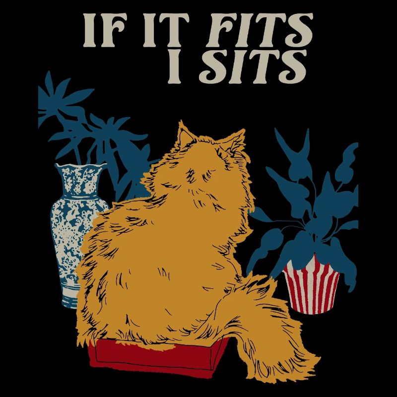 SI ÇA TIENT DANS UN SIÈGE