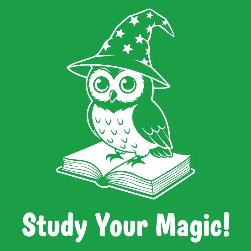 Magical Learning Owl with Magic Hat