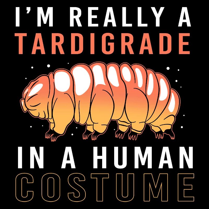 Bärtierchen Tardigrades Wasserbär Tardigrade