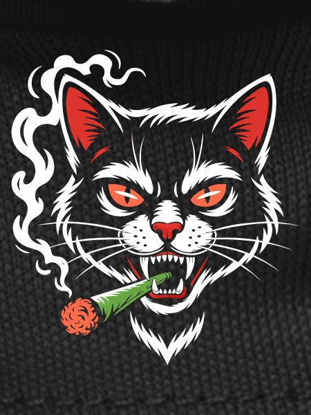 Angry cat with joint