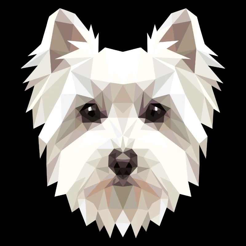 Petit chien maltais aime le doux maltais