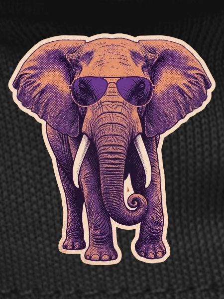 Summer Elephant Sunglasses
